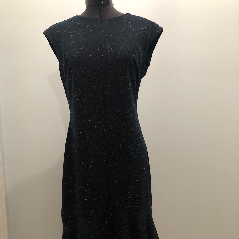 Ann Taylor NWT 4P Dress Fishtail Hem